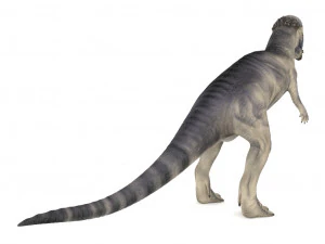 pachycephalosaurus rigged 3D Model
