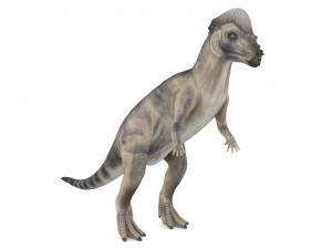 pachycephalosaurus rigged Modelo 3D
