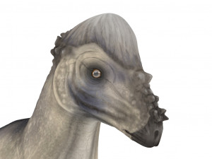pachycephalosaurus rigged Modelo 3D