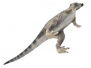 pachycephalosaurus rigged Modelo 3D