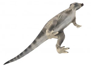 pachycephalosaurus rigged 3D Model