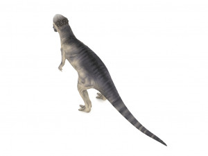 pachycephalosaurus rigged Modelo 3D