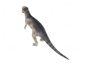 pachycephalosaurus rigged 3D Model