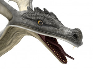 dragon rigged 3Dモデル