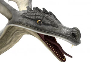 dragon rigged 3D Model