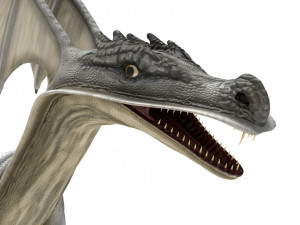 dragon rigged 3Dモデル
