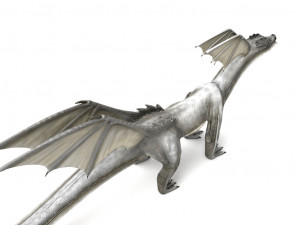 dragon rigged 3Dモデル