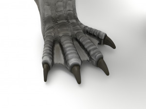 dragon rigged 3Dモデル