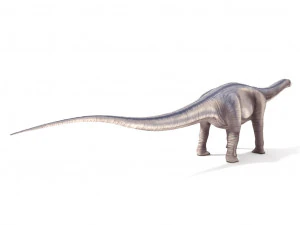 argentinosaurus 3D Model