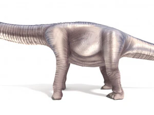 argentinosaurus 3D Model