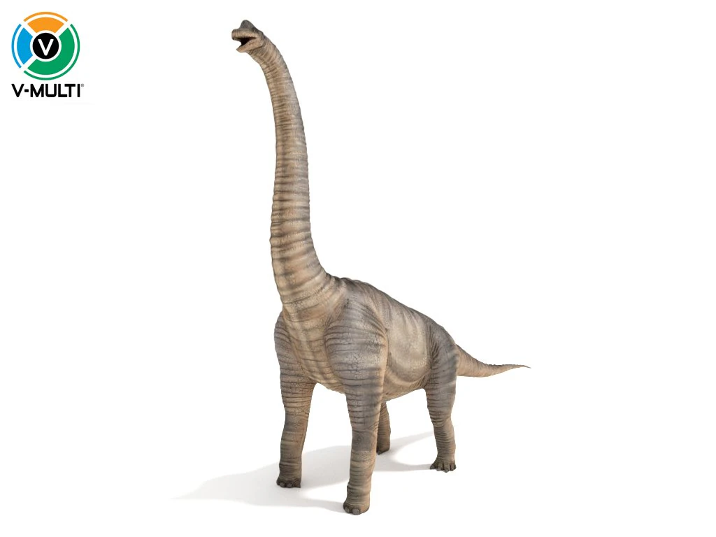 brachiosaurus 3D Model .c4d .max .obj .3ds .fbx .stl .blend 