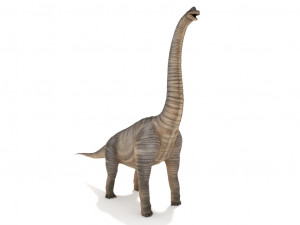 brachiosaurus 3D-Modell