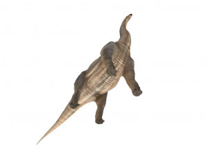 brachiosaurus 3D Model