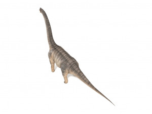 brachiosaurus 3D-Modell