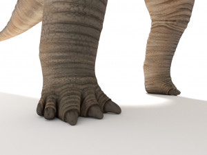 brachiosaurus 3D-Modell