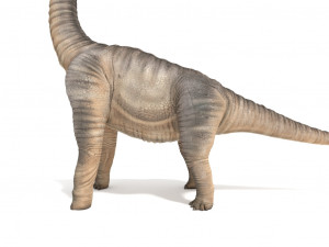 brachiosaurus 3D-Modell