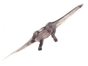 argentinosaurus rigged Modelo 3D