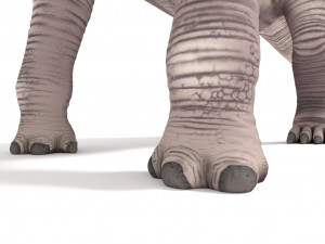 argentinosaurus rigged Modelo 3D
