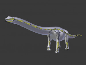 argentinosaurus rigged Modelo 3D