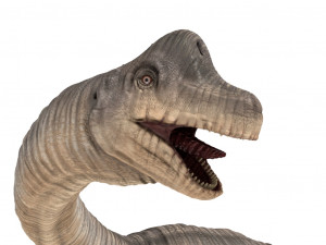 brachiosaurus rigged Modello 3D