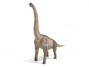 brachiosaurus rigged Modello 3D