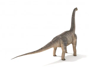 brachiosaurus rigged 3D Model