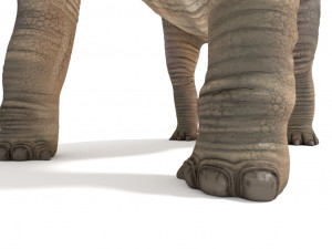 brachiosaurus rigged Modello 3D