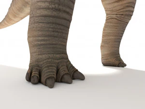 brachiosaurus rigged 3D Model
