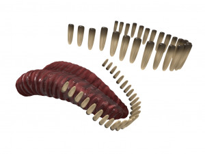 brachiosaurus rigged Modello 3D