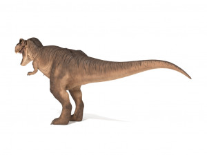 tyrannosaurus rex 3D 模型