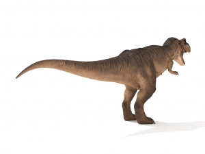 tyrannosaurus rex 3D 模型