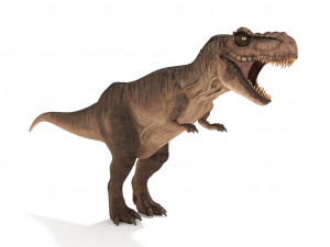 tyrannosaurus rex 3D 模型