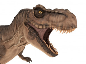 tyrannosaurus rex 3D 模型