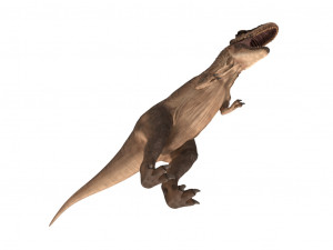 tyrannosaurus rex 3D 模型