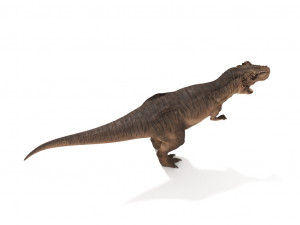 tyrannosaurus rex 3D 模型
