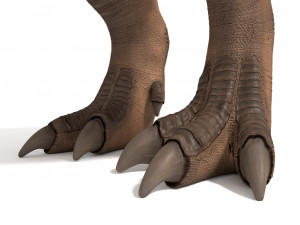 tyrannosaurus rex 3D 模型