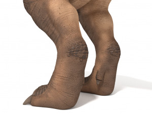 tyrannosaurus rex 3D 模型