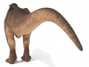 tyrannosaurus rex 3D 模型