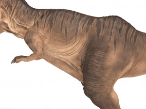 tyrannosaurus rex 3D 模型