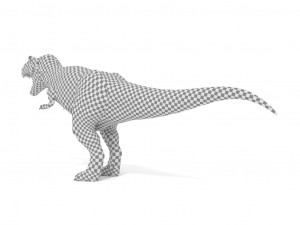 tyrannosaurus rex 3D 模型