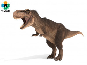 tyrannosaurus rex fur 3D Models