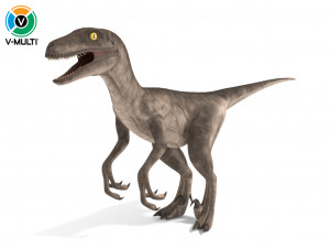 velociraptor 3D Model