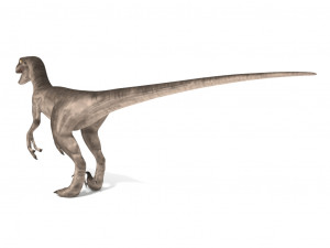 velociraptor 3Dモデル