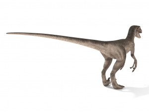 velociraptor 3Dモデル