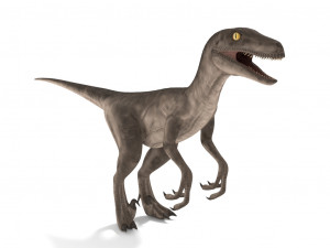 velociraptor 3Dモデル