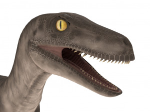 velociraptor 3Dモデル