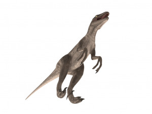 velociraptor 3Dモデル
