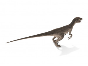 velociraptor 3Dモデル
