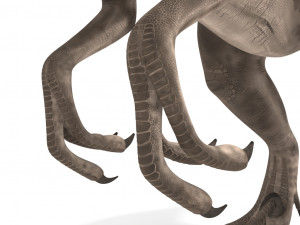 velociraptor 3Dモデル