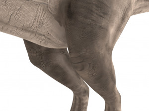 velociraptor 3Dモデル